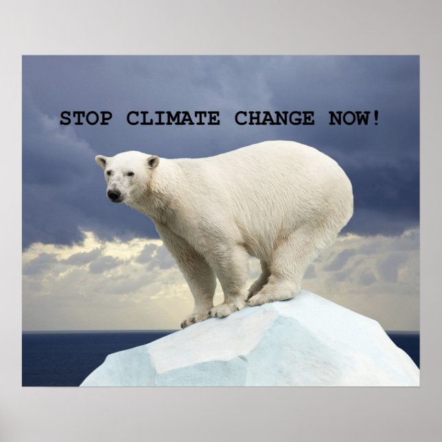 Póster ¡DETENGAN EL CAMBIO CLIMÁTICO AHORA! Oso polar (Frente)