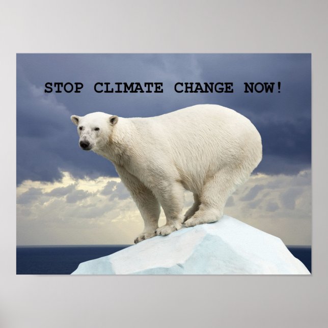 Póster ¡DETENGAN EL CAMBIO CLIMÁTICO AHORA! Oso polar (Frente)