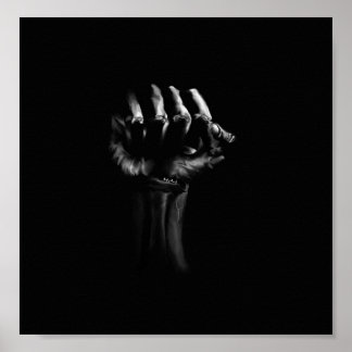 Póster Determinación