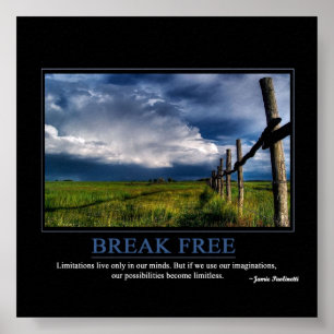 Póster Determinación