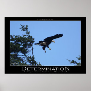 Póster DETERMINACIÓN ~ Poster motivacional