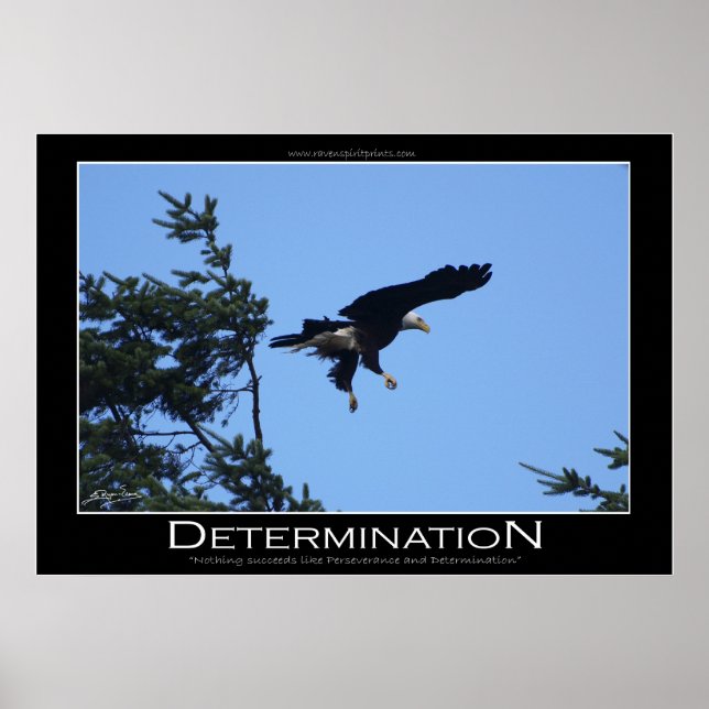 Póster DETERMINACIÓN ~ Poster motivacional (Frente)