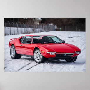 Póster Detomaso Pantera