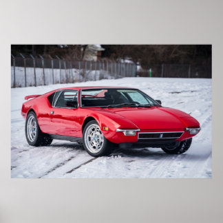 Póster Detomaso Pantera