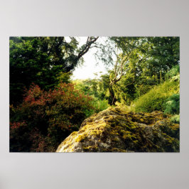 Póster Detrás de Blarney