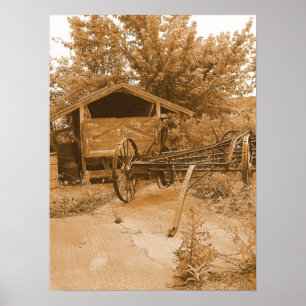 Póster Detrás del granero