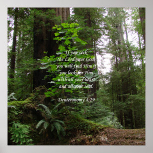 Póster Deuteronomio 4:29 ~ Buscar al Señor