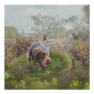 Póster Deutsch Drahthaar