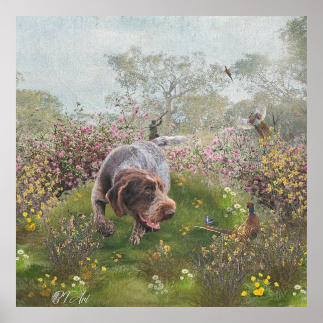 Póster Deutsch Drahthaar (Frente)