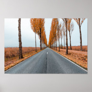 Póster Deutsche Alleenstraße