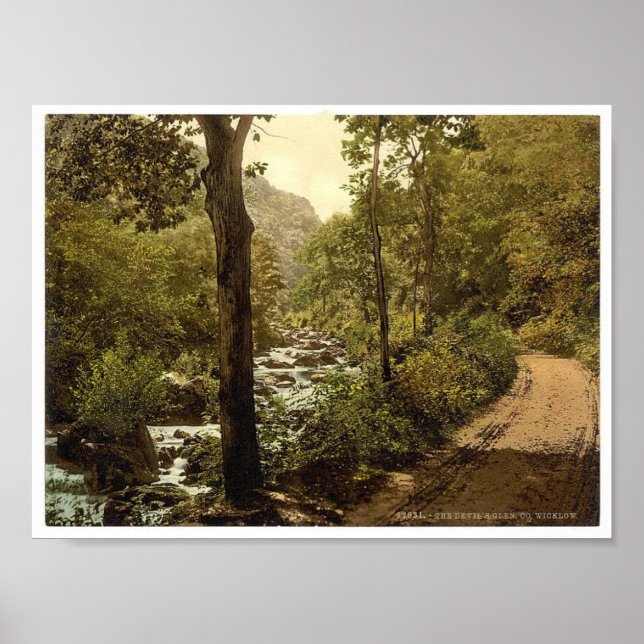 Póster Devils Glen, Ashford, County Wicklow Irlanda (Frente)