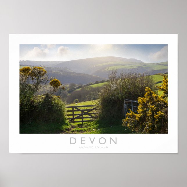 Póster Devon (Frente)