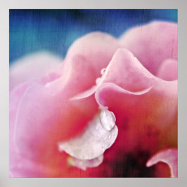 Póster Dew cae sobre el resumen de la macro rosa rosada