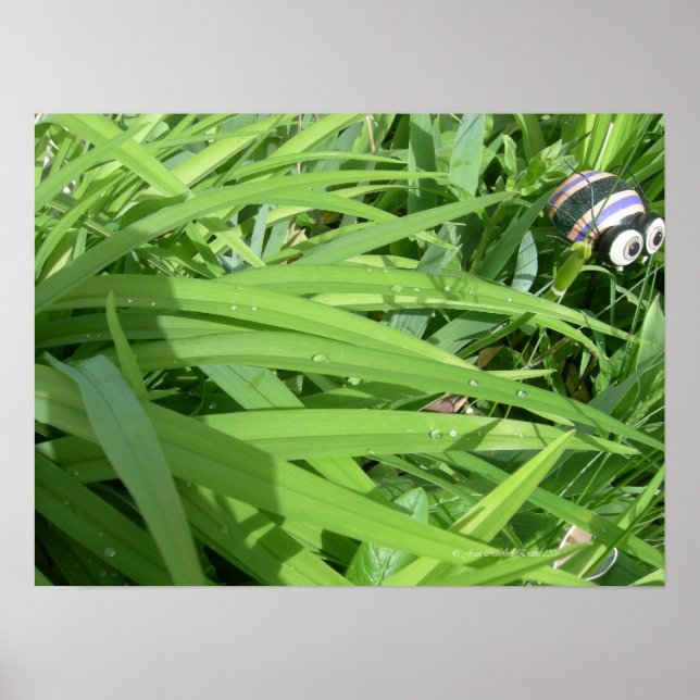 Póster Dew matutino (Frente)