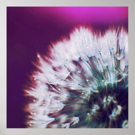 Póster Dew sobre el diandalismo rosado morado resumen