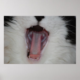 Póster ¡Di Ah!/Humor Dentista