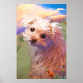 Póster Día 1 del Cachorro de Rescate de Malta "La Primera