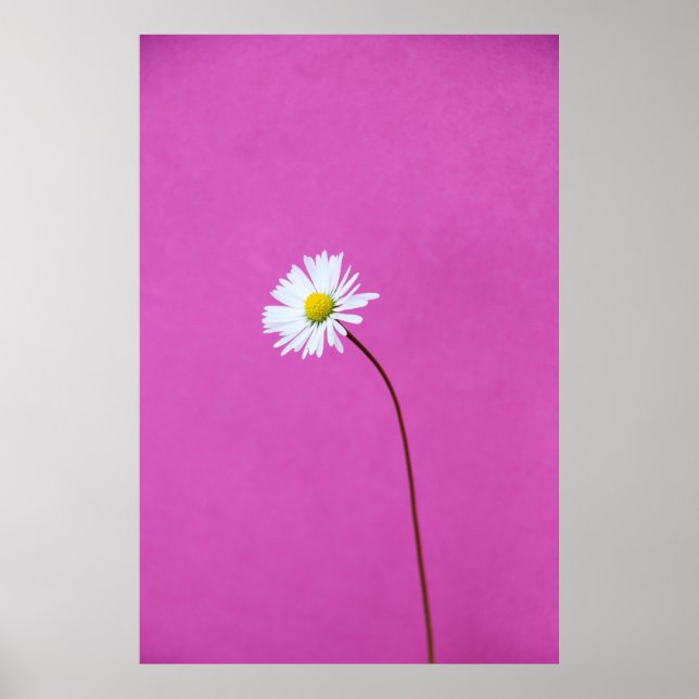 PÓSTER DÍA BLANCO SOBRE FONDO ROSA (Frente)