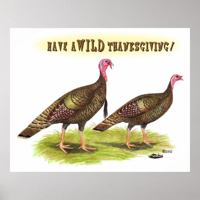Póster Día de Acción de Gracias de un pavo salvaje (Frente)