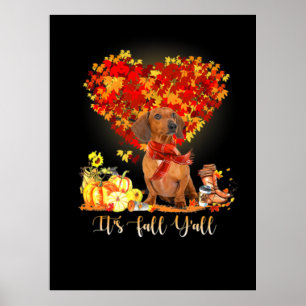 Póster Día de Acción de Gracias es Caída y Dachshund
