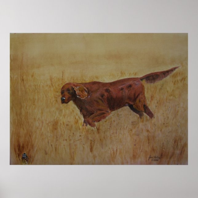 Póster Día de Campo Irlandés (Frente)