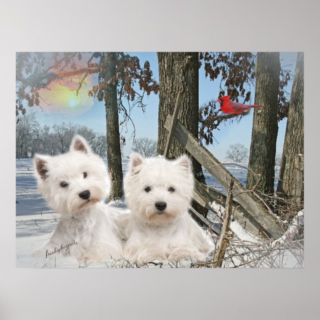 Póster Día de invierno del West Highland Terrier (Frente)