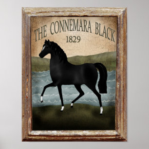 Póster Día de los Patrocinadores Caballo Irlandés, Rótulo