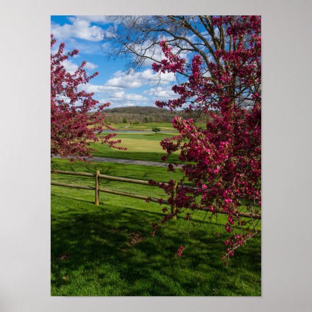 Póster Día de primavera en Rivercut (Frente)