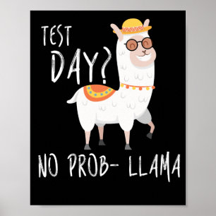 Póster Día de prueba No Prob Llama Examen Docente