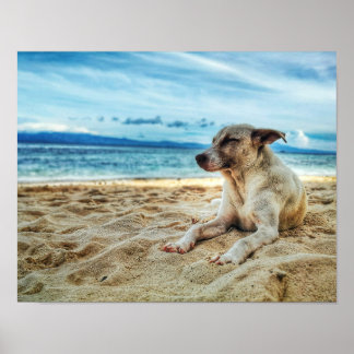 Póster Día de Relajación de Perros en la Playa, la Arena