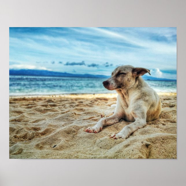 Póster Día de Relajación de Perros en la Playa, la Arena  (Frente)