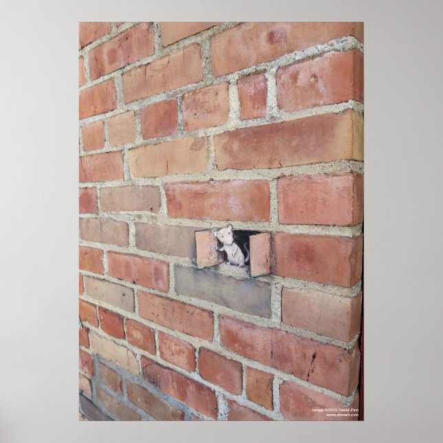 Póster Día de retransmisión (Frente)