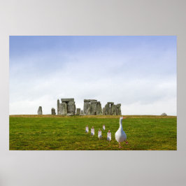 Póster Día de salida de ganso y gallo