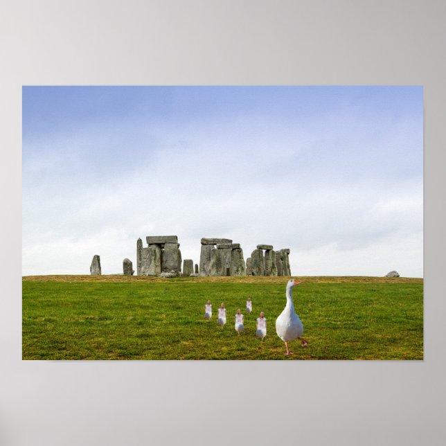 Póster Día de salida de ganso y gallo (Frente)