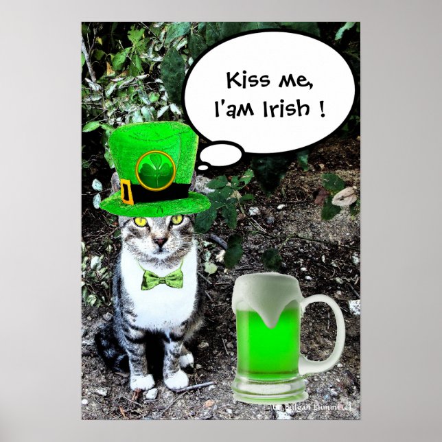 PÓSTER DÍA DE SAN PATRICIO GATO CON CERVEZA IRLANDESA VER (Frente)