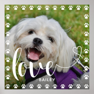 Póster Día de San Valentín de cachorros, Mascota de cacho