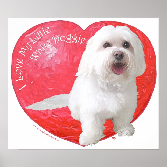 Póster Día de San Valentín de Havanés (Frente)