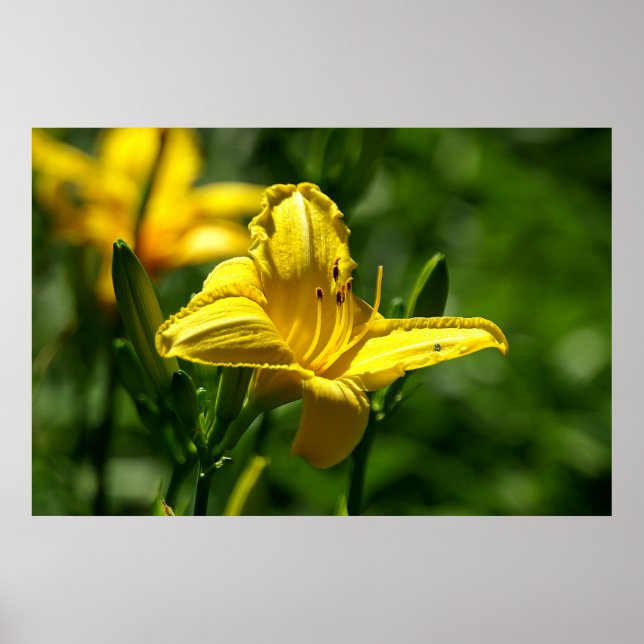 Póster Día de verano (Frente)