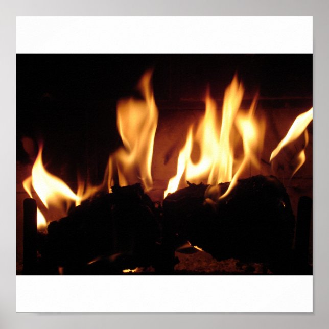 Póster Día del Invierno (Frente)