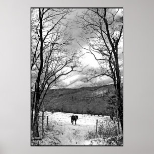 Póster Día del Invierno