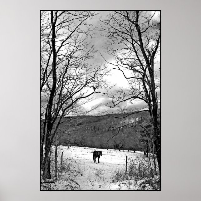 Póster Día del Invierno (Frente)