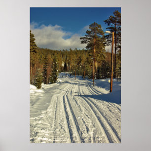 Póster Día del Invierno en Suecia