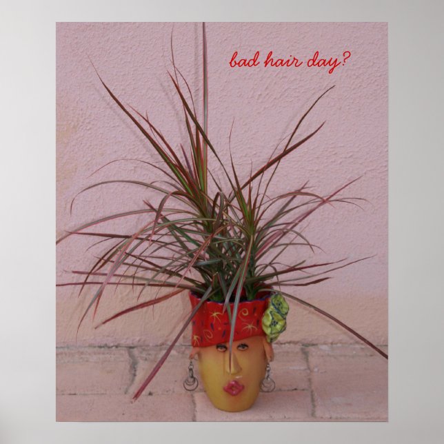 Póster ¿día del mal cabello? (Frente)