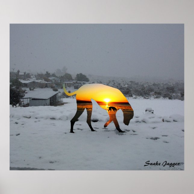 Póster Día del perro por la tarde (Frente)