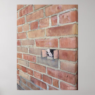 Póster Día del respiradero