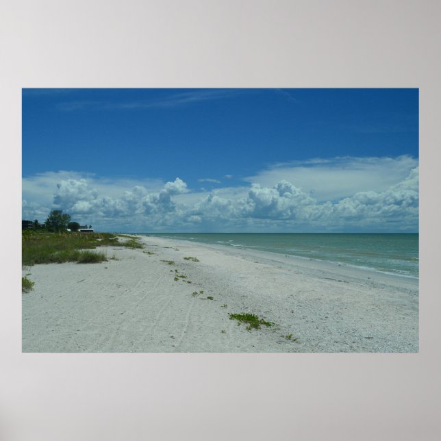 Póster Día En Una Playa Tropical (Frente)