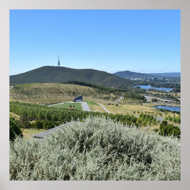 Póster Día Idílico en Canberra (Frente)