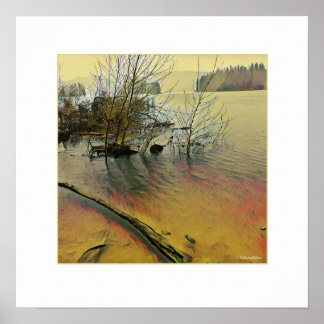 Póster Día lluvioso