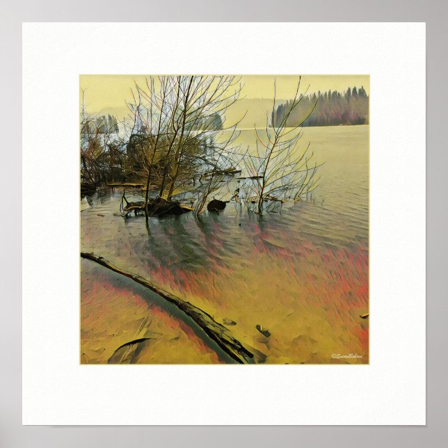 Póster Día lluvioso (Frente)