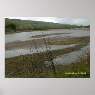 Póster Día lluvioso de Coyote Creek